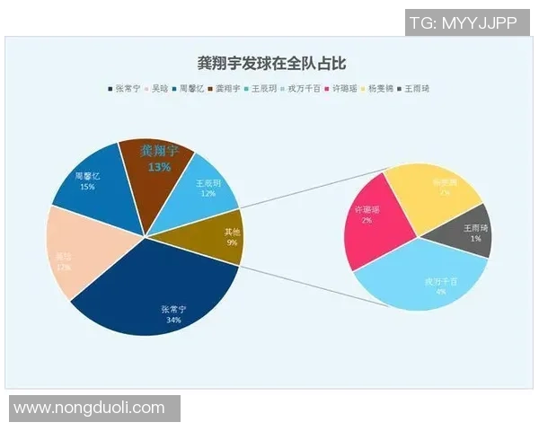 北京排球队灵活性分析与表现评估的深度研究与探讨